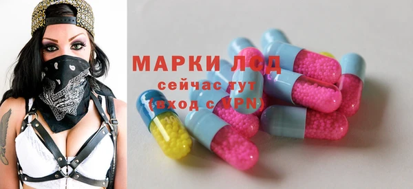 хмурый Алексеевка