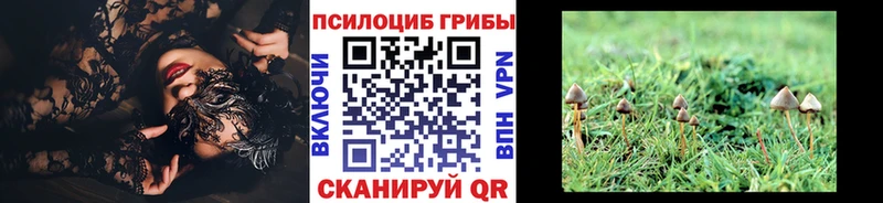 Псилоцибиновые грибы MAGIC MUSHROOMS ОМГ ОМГ ONION Черепаново